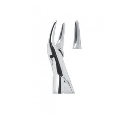 Extracting Forceps